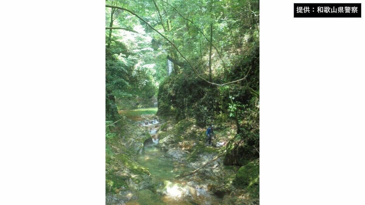 「今日見つけてもらえなかったら死を受け入れようと…」崖から滑落し複雑骨折などの大けが　“極限状態”の60代男性を山中で救助　和歌山・田辺市の大杉滝付近