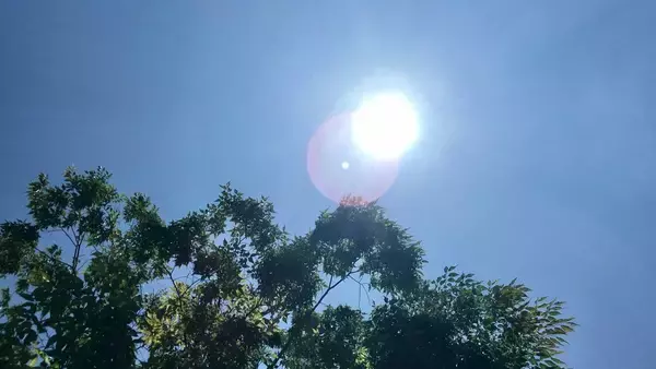 【速報】近畿で今年初の「酷暑日」に　和歌山県田辺市で40.1℃を観測　