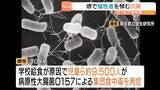「児童ら約９５００人が発症「Ｏ１５７集団食中毒」から３０年…学校関係者ら犠牲者に黙祷を捧げる　大阪・堺市」の画像1