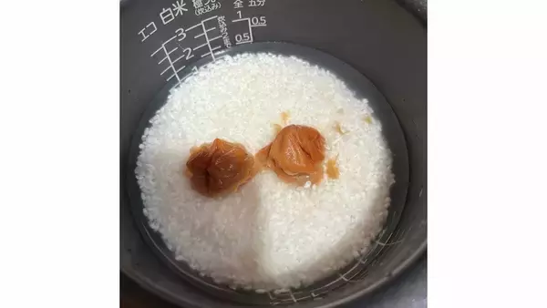 「真夏のお弁当＆食品保存の食中毒防止に「青じその混ぜご飯」「香辛料」がオススメ！　細菌性食中毒に特に注意を　元食品メーカー営業の気象予報士が解説【MBSお天気通信】」の画像