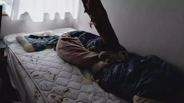 【速報】倒木が住宅の屋根を突き刺しベッドを直撃　あわや！「びっくりした、数センチずれてたら当たっていた」住民にケガ無し　和歌山・白浜町