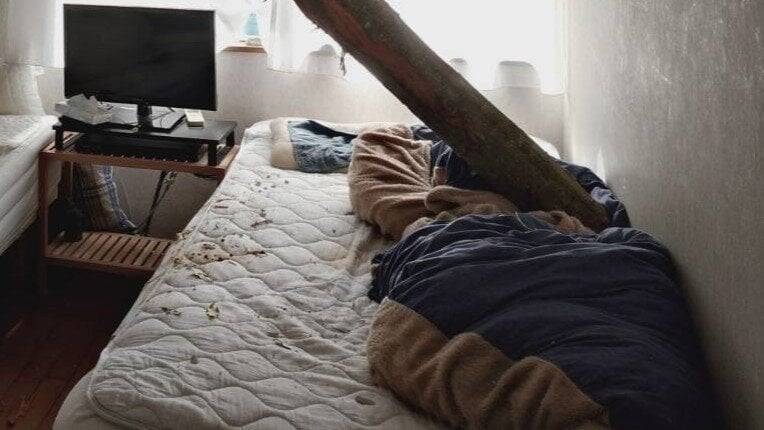 【速報】倒木が住宅の屋根を突き刺しベッドを直撃　あわや！「びっくりした、数センチずれてたら当たっていた」住民にケガ無し　和歌山・白浜町