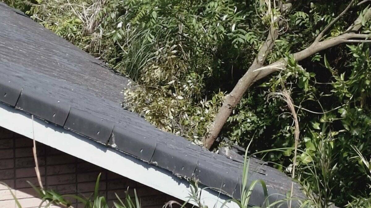 【速報】倒木が住宅の屋根を突き刺しベッドを直撃　あわや！「びっくりした、数センチずれてたら当たっていた」住民にケガ無し　和歌山・白浜町