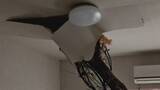 「【速報】倒木が住宅の屋根を突き刺しベッドを直撃　あわや！「びっくりした、数センチずれてたら当たっていた」住民にケガ無し　和歌山・白浜町」の画像3
