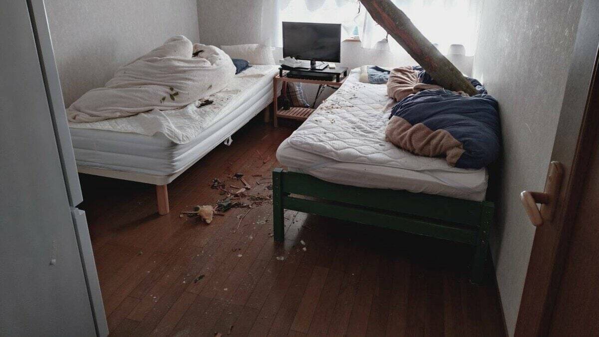 【速報】倒木が住宅の屋根を突き刺しベッドを直撃　あわや！「びっくりした、数センチずれてたら当たっていた」住民にケガ無し　和歌山・白浜町