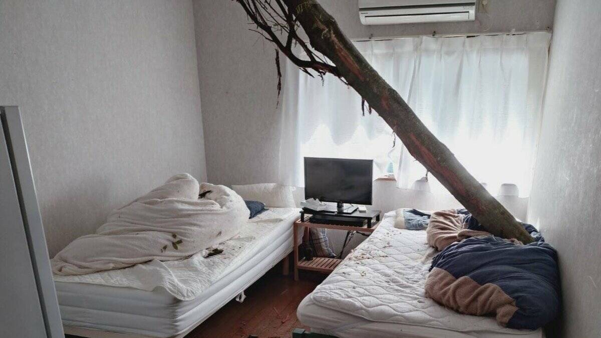 【速報】倒木が住宅の屋根を突き刺しベッドを直撃　あわや！「びっくりした、数センチずれてたら当たっていた」住民にケガ無し　和歌山・白浜町