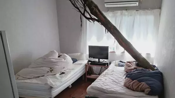 「【速報】倒木が住宅の屋根を突き刺しベッドを直撃　あわや！「びっくりした、数センチずれてたら当たっていた」住民にケガ無し　和歌山・白浜町」の画像