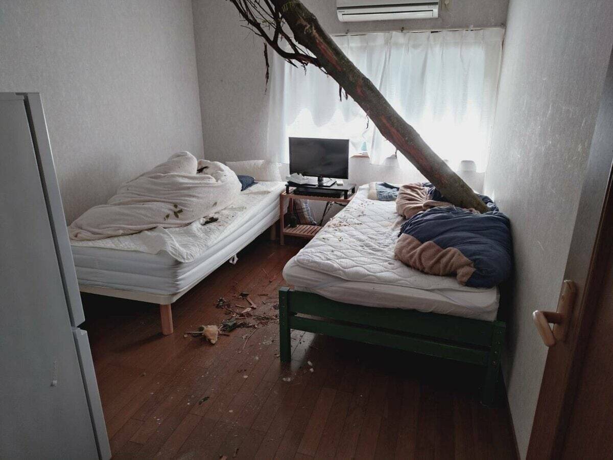 【速報】倒木が住宅の屋根を突き刺しベッドを直撃　あわや！「びっくりした、数センチずれてたら当たっていた」住民にケガ無し　和歌山・白浜町