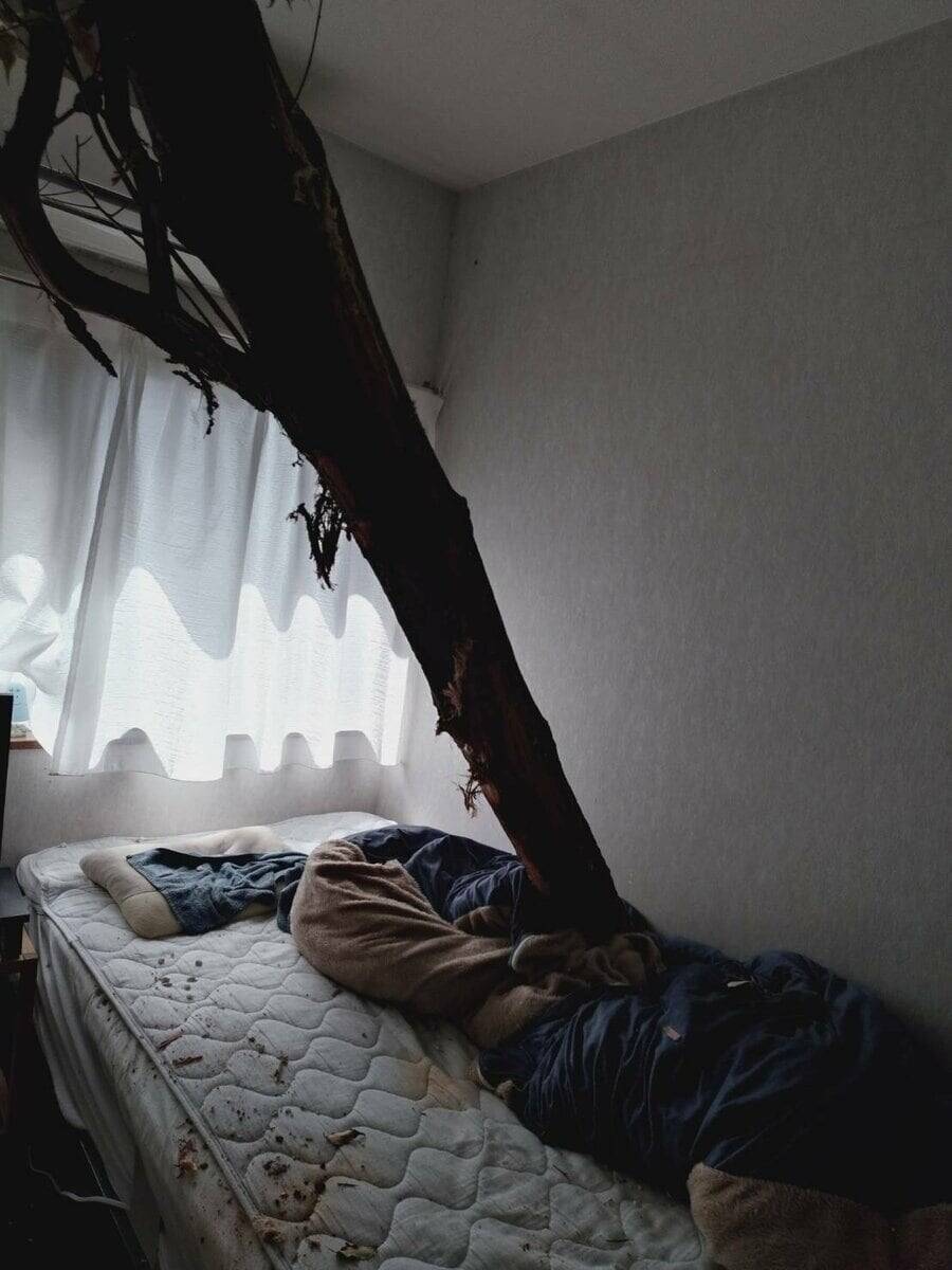 【速報】倒木が住宅の屋根を突き刺しベッドを直撃　あわや！「びっくりした、数センチずれてたら当たっていた」住民にケガ無し　和歌山・白浜町
