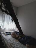 「【速報】倒木が住宅の屋根を突き刺しベッドを直撃　あわや！「びっくりした、数センチずれてたら当たっていた」住民にケガ無し　和歌山・白浜町」の画像7