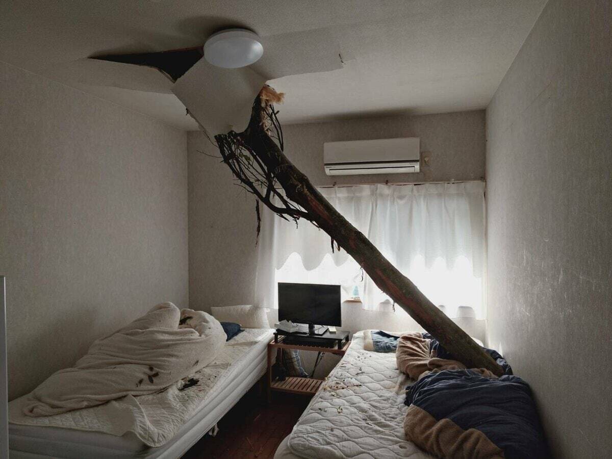 【速報】倒木が住宅の屋根を突き刺しベッドを直撃　あわや！「びっくりした、数センチずれてたら当たっていた」住民にケガ無し　和歌山・白浜町