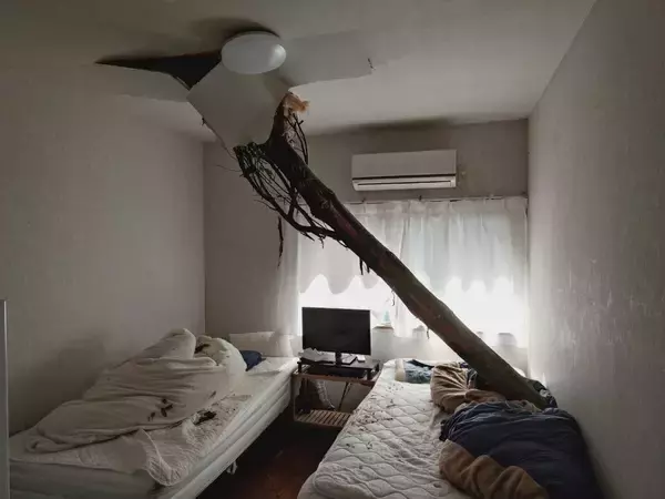 「【速報】倒木が住宅の屋根を突き刺しベッドを直撃　あわや！「びっくりした、数センチずれてたら当たっていた」住民にケガ無し　和歌山・白浜町」の画像
