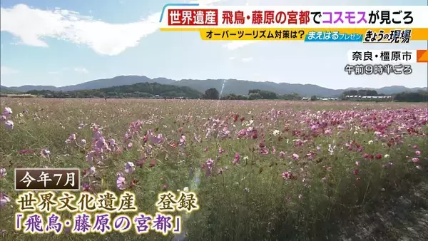 「一過性のブームは不要」新・世界遺産『飛鳥・藤原の宮都』観光客増でオーバーツーリズム警戒「駐車場は有料・予約制に」など教訓踏まえ対策　専門家「かなり上手くいっている」