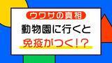 「「動物園に行くとアレルギーになりにくい」気になる噂の真相は？食物アレルギーが増えていない気になる地域とは？育児のギモンを小児科医に聞いてみた 【ぼちぼち子育て】」の画像2