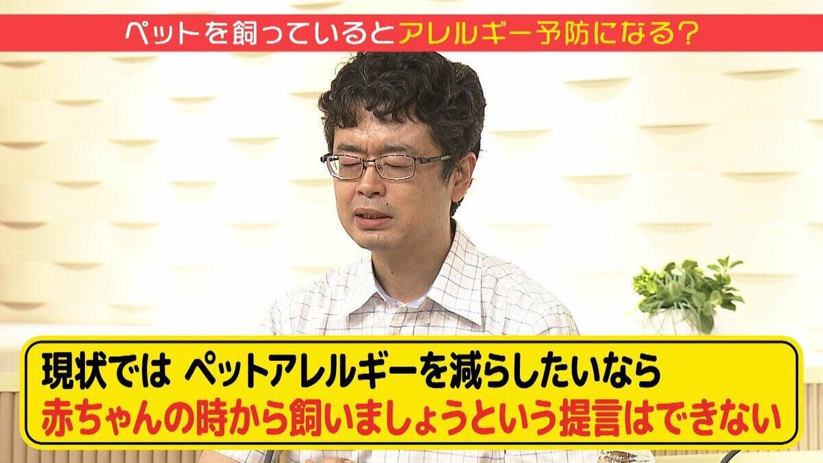 「動物園に行くとアレルギーになりにくい」気になる噂の真相は？食物アレルギーが増えていない気になる地域とは？育児のギモンを小児科医に聞いてみた 【ぼちぼち子育て】