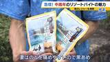 「「楽しみながら社会との接点を」中高年にリゾートバイトが人気！元英語教師（60）は白浜でツアーガイド「お客様の満面の笑みが嬉しい」夜は若者と食卓囲む「価値観を揺さぶられる」」の画像19