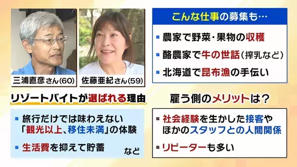 「「楽しみながら社会との接点を」中高年にリゾートバイトが人気！元英語教師（60）は白浜でツアーガイド「お客様の満面の笑みが嬉しい」夜は若者と食卓囲む「価値観を揺さぶられる」」の画像