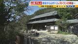 「【わざわざ行きたいグルメ】メニューは１つだけ！？大阪市内から移住した夫婦が営むレストラン　奈良の古民家で味わう“とれたて新鮮野菜のフルコース”【ポツンと山奥グルメ第2弾】」の画像14