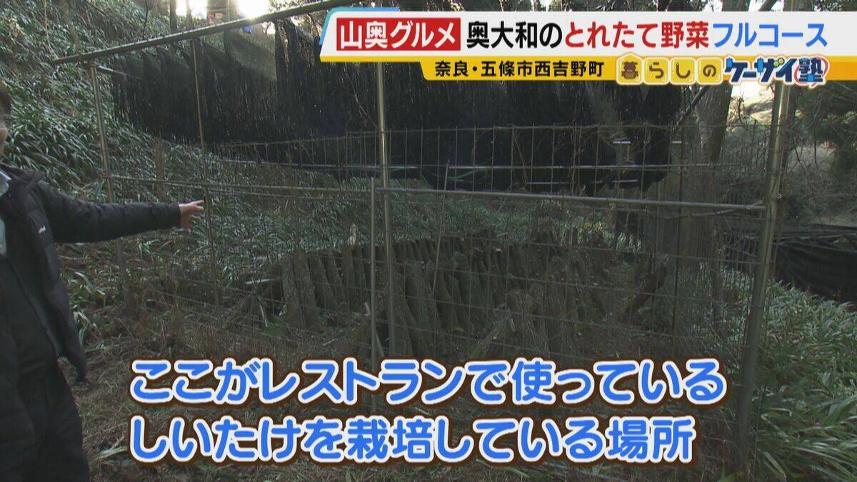 【わざわざ行きたいグルメ】メニューは１つだけ！？大阪市内から移住した夫婦が営むレストラン　奈良の古民家で味わう“とれたて新鮮野菜のフルコース”【ポツンと山奥グルメ第2弾】