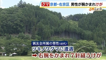 【速報】「クマのスピードが恐ろしいと実感した」京都市右京区の山中で猟友会の40代男性がツキノワグマに右腕を噛まれ７針縫う大ケガ 京都府が注意呼びかけ