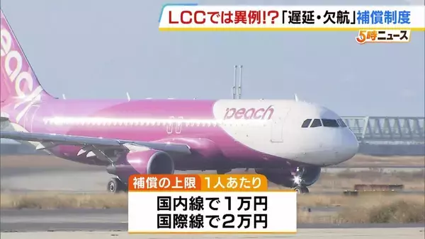 LCC・ピーチが「遅延や欠航」を補償　上限は1人あたり「国内線1万円・国際線2万円」　自然災害などが原因の遅延や欠航は対象外