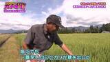 「【令和のコメ騒動】政治に翻弄されるコメ農家　「稼げない」年齢を理由にコメ作り辞めるケースも…「小規模」「高齢化」という課題にAIやドローンを駆使！「稼げる農家」も【ガチの門】」の画像1
