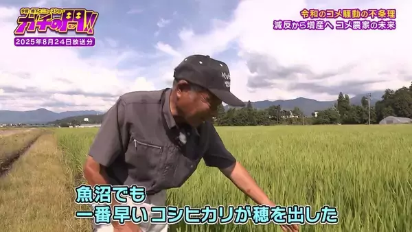 【令和のコメ騒動】政治に翻弄されるコメ農家　「稼げない」年齢を理由にコメ作り辞めるケースも…「小規模」「高齢化」という課題にAIやドローンを駆使！「稼げる農家」も【ガチの門】
