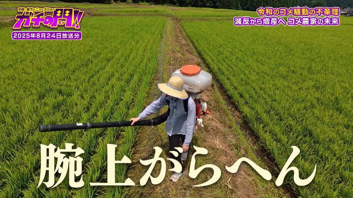 【令和のコメ騒動】政治に翻弄されるコメ農家　「稼げない」年齢を理由にコメ作り辞めるケースも…「小規模」「高齢化」という課題にAIやドローンを駆使！「稼げる農家」も【ガチの門】
