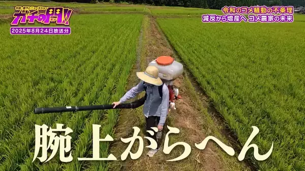 「【令和のコメ騒動】政治に翻弄されるコメ農家　「稼げない」年齢を理由にコメ作り辞めるケースも…「小規模」「高齢化」という課題にAIやドローンを駆使！「稼げる農家」も【ガチの門】」の画像