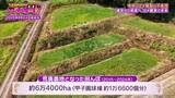 「【令和のコメ騒動】政治に翻弄されるコメ農家　「稼げない」年齢を理由にコメ作り辞めるケースも…「小規模」「高齢化」という課題にAIやドローンを駆使！「稼げる農家」も【ガチの門】」の画像5