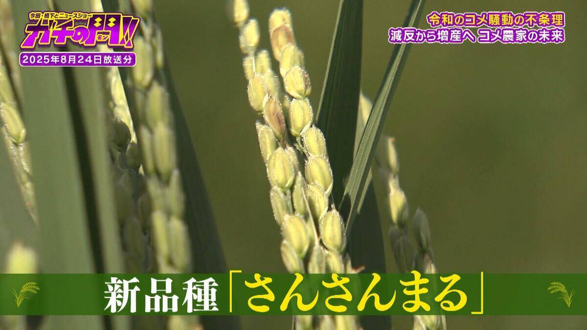 【令和のコメ騒動】政治に翻弄されるコメ農家　「稼げない」年齢を理由にコメ作り辞めるケースも…「小規模」「高齢化」という課題にAIやドローンを駆使！「稼げる農家」も【ガチの門】