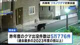 「繁殖期迎えるクマに注意！親離れした子グマとの接触リスク高く…「高い音は動物の警戒の声に近い」専門家は“鈴”有効と指摘」の画像1