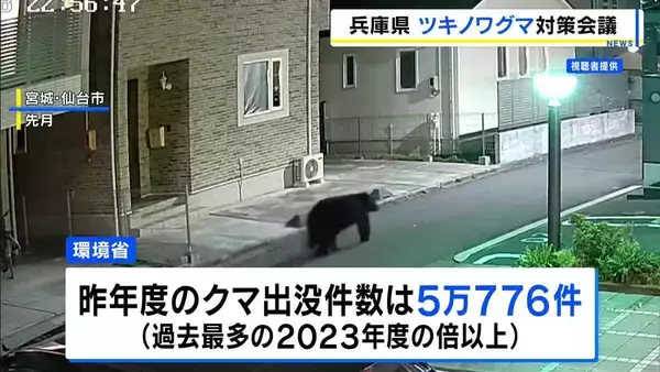 繁殖期迎えるクマに注意！親離れした子グマとの接触リスク高く…「高い音は動物の警戒の声に近い」専門家は“鈴”有効と指摘