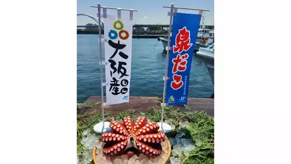 「大阪のブランドタコ「泉だこ」　白ワインとのコラボで大阪産（もん）の新たな魅力ひきだす」の画像