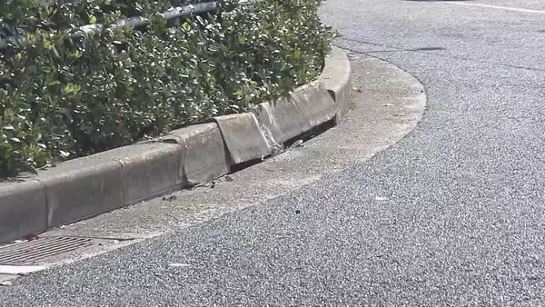 【速報】軽乗用車運転の大学生の男逮捕 定員オーバーか トラックと衝突し同乗の男女5人死傷 神戸・兵庫区