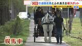 「引退競走馬の「第二の馬生」　長く生きられない馬もいる現実…　観光で現状変えるべく奮闘する牧場運営者たち「少しずつでも幸せに過ごせる馬を増やしたい」」の画像1