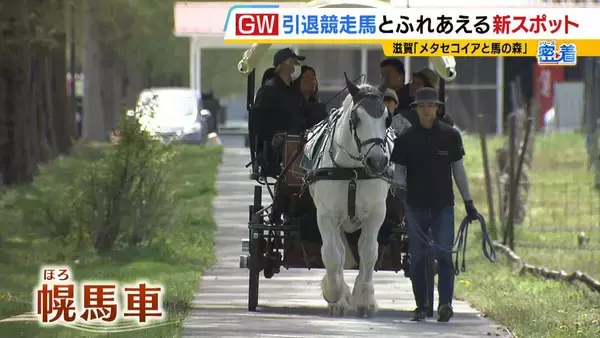 引退競走馬の「第二の馬生」　長く生きられない馬もいる現実…　観光で現状変えるべく奮闘する牧場運営者たち「少しずつでも幸せに過ごせる馬を増やしたい」
