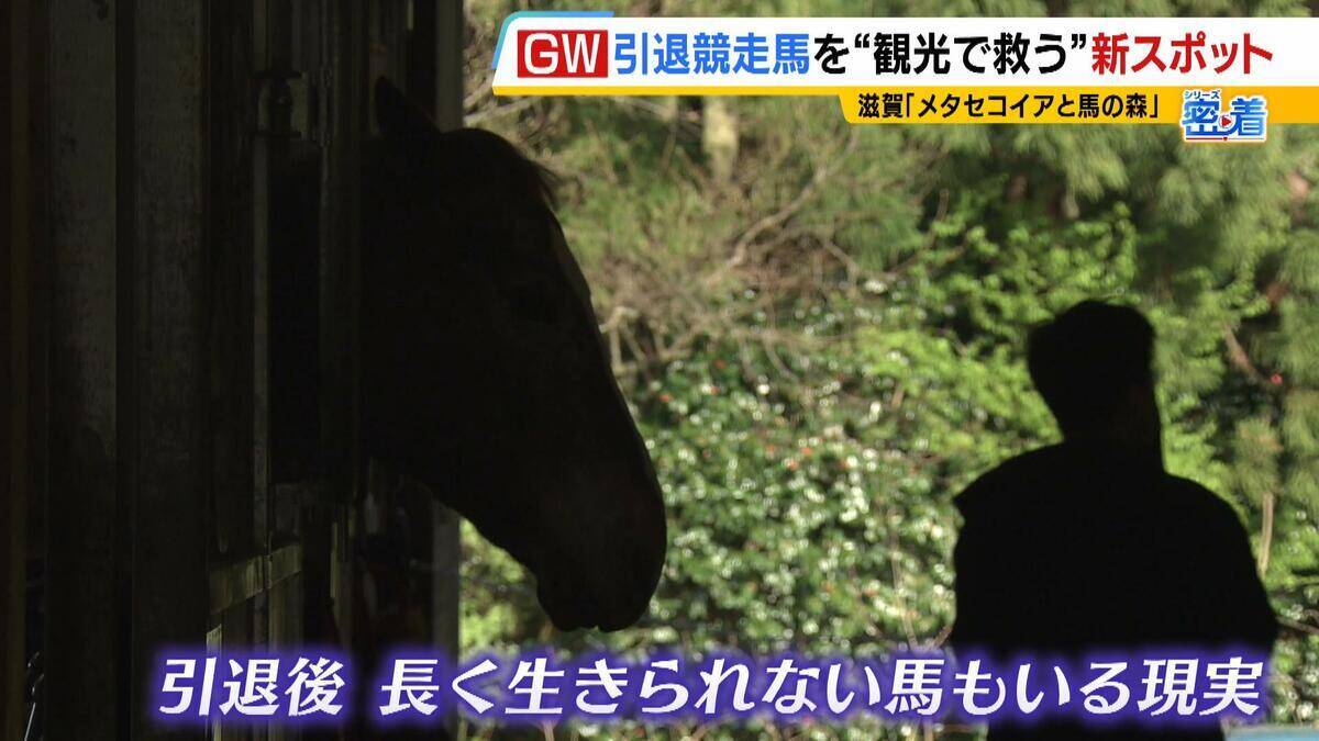 引退競走馬の「第二の馬生」　長く生きられない馬もいる現実…　観光で現状変えるべく奮闘する牧場運営者たち「少しずつでも幸せに過ごせる馬を増やしたい」