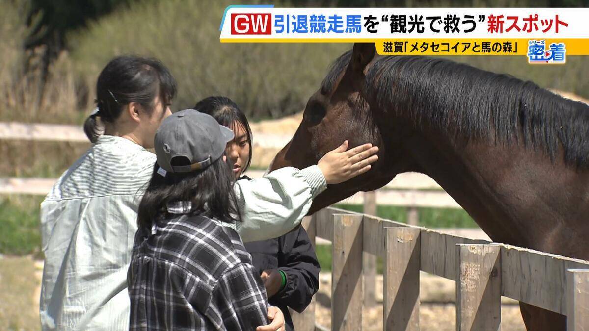 引退競走馬の「第二の馬生」　長く生きられない馬もいる現実…　観光で現状変えるべく奮闘する牧場運営者たち「少しずつでも幸せに過ごせる馬を増やしたい」