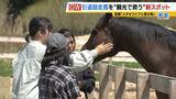 「引退競走馬の「第二の馬生」　長く生きられない馬もいる現実…　観光で現状変えるべく奮闘する牧場運営者たち「少しずつでも幸せに過ごせる馬を増やしたい」」の画像13