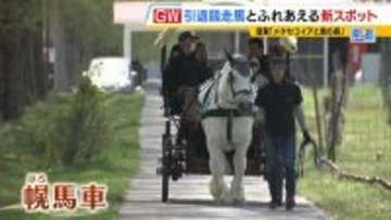 引退競走馬の「第二の馬生」　長く生きられない馬もいる現実…　観光で現状変えるべく奮闘する牧場運営者たち「少しずつでも幸せに過ごせる馬を増やしたい」