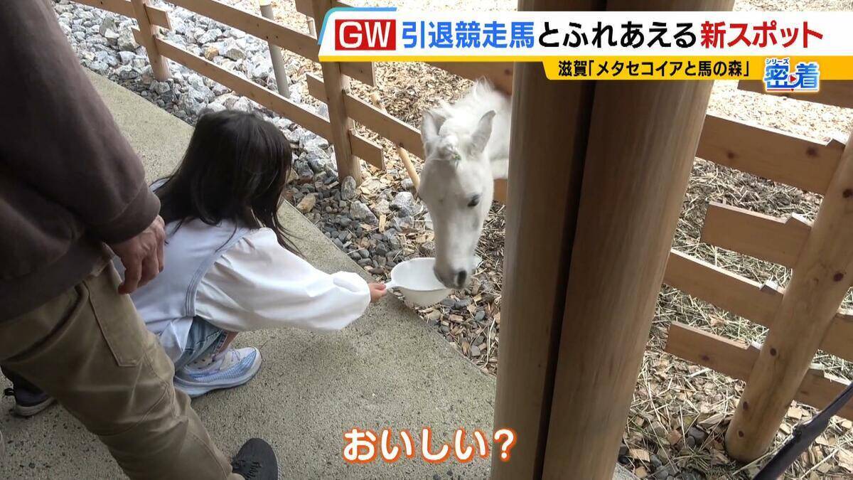 引退競走馬の「第二の馬生」　長く生きられない馬もいる現実…　観光で現状変えるべく奮闘する牧場運営者たち「少しずつでも幸せに過ごせる馬を増やしたい」