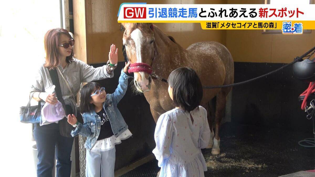引退競走馬の「第二の馬生」　長く生きられない馬もいる現実…　観光で現状変えるべく奮闘する牧場運営者たち「少しずつでも幸せに過ごせる馬を増やしたい」