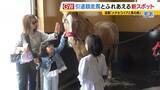 「引退競走馬の「第二の馬生」　長く生きられない馬もいる現実…　観光で現状変えるべく奮闘する牧場運営者たち「少しずつでも幸せに過ごせる馬を増やしたい」」の画像3