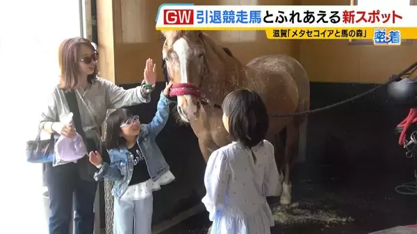 「引退競走馬の「第二の馬生」　長く生きられない馬もいる現実…　観光で現状変えるべく奮闘する牧場運営者たち「少しずつでも幸せに過ごせる馬を増やしたい」」の画像