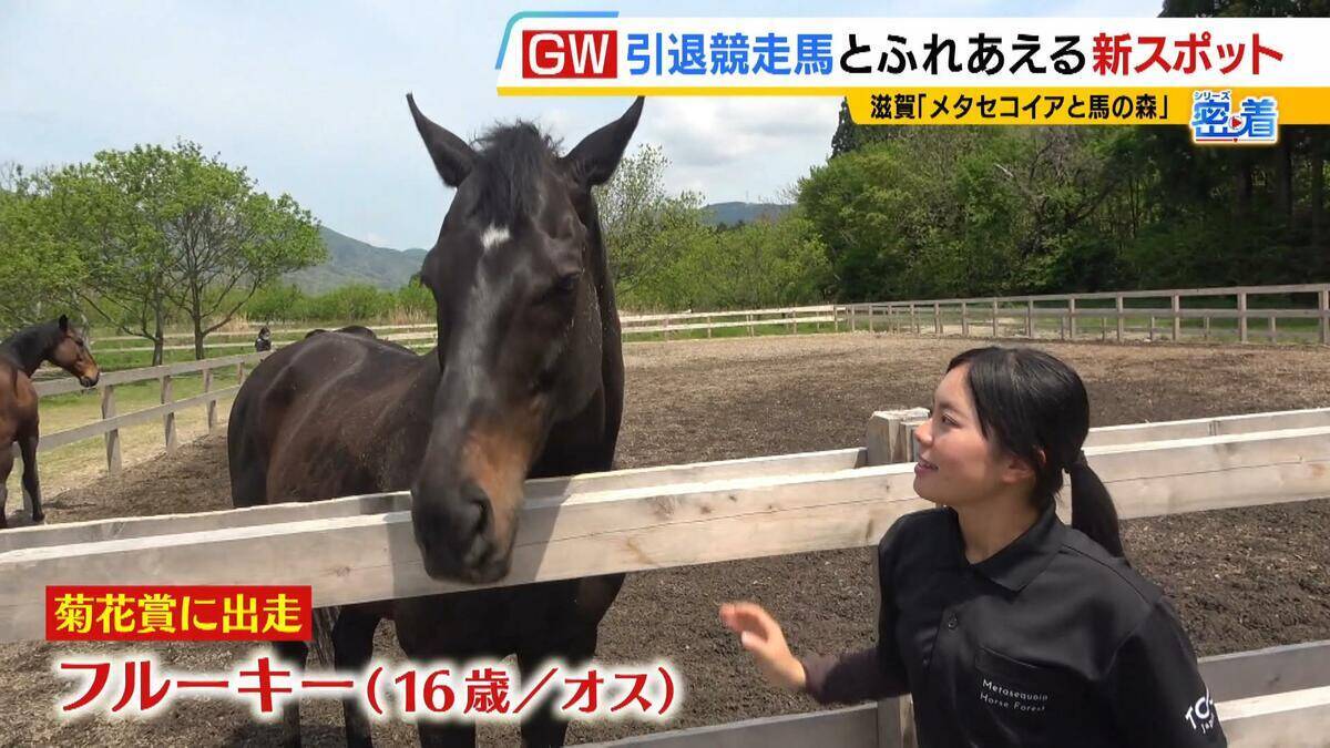 引退競走馬の「第二の馬生」　長く生きられない馬もいる現実…　観光で現状変えるべく奮闘する牧場運営者たち「少しずつでも幸せに過ごせる馬を増やしたい」