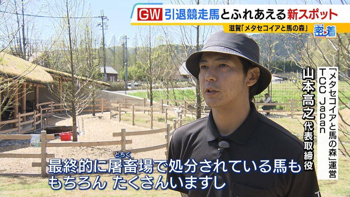 引退競走馬の「第二の馬生」　長く生きられない馬もいる現実…　観光で現状変えるべく奮闘する牧場運営者たち「少しずつでも幸せに過ごせる馬を増やしたい」
