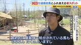 「引退競走馬の「第二の馬生」　長く生きられない馬もいる現実…　観光で現状変えるべく奮闘する牧場運営者たち「少しずつでも幸せに過ごせる馬を増やしたい」」の画像6