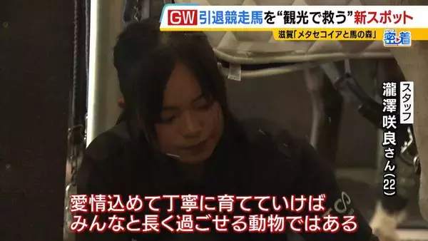 「引退競走馬の「第二の馬生」　長く生きられない馬もいる現実…　観光で現状変えるべく奮闘する牧場運営者たち「少しずつでも幸せに過ごせる馬を増やしたい」」の画像