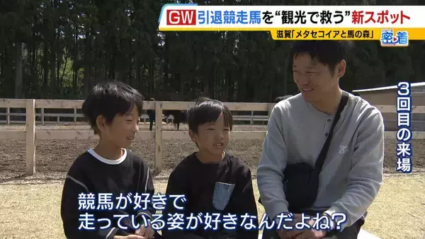 「引退競走馬の「第二の馬生」　長く生きられない馬もいる現実…　観光で現状変えるべく奮闘する牧場運営者たち「少しずつでも幸せに過ごせる馬を増やしたい」」の画像